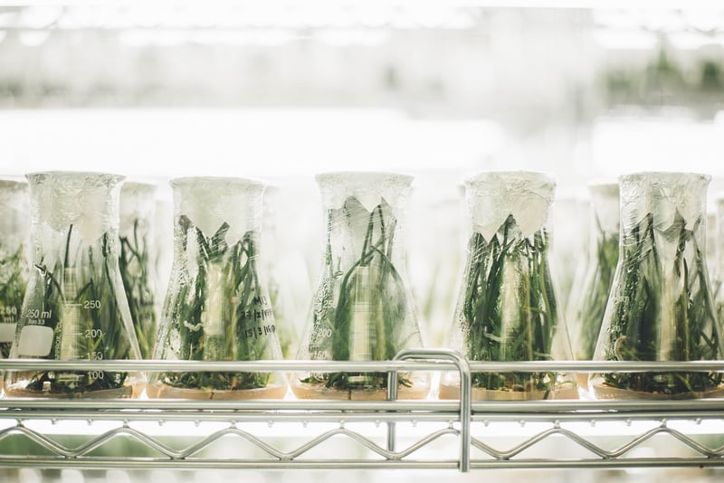Indoor Herb Pots